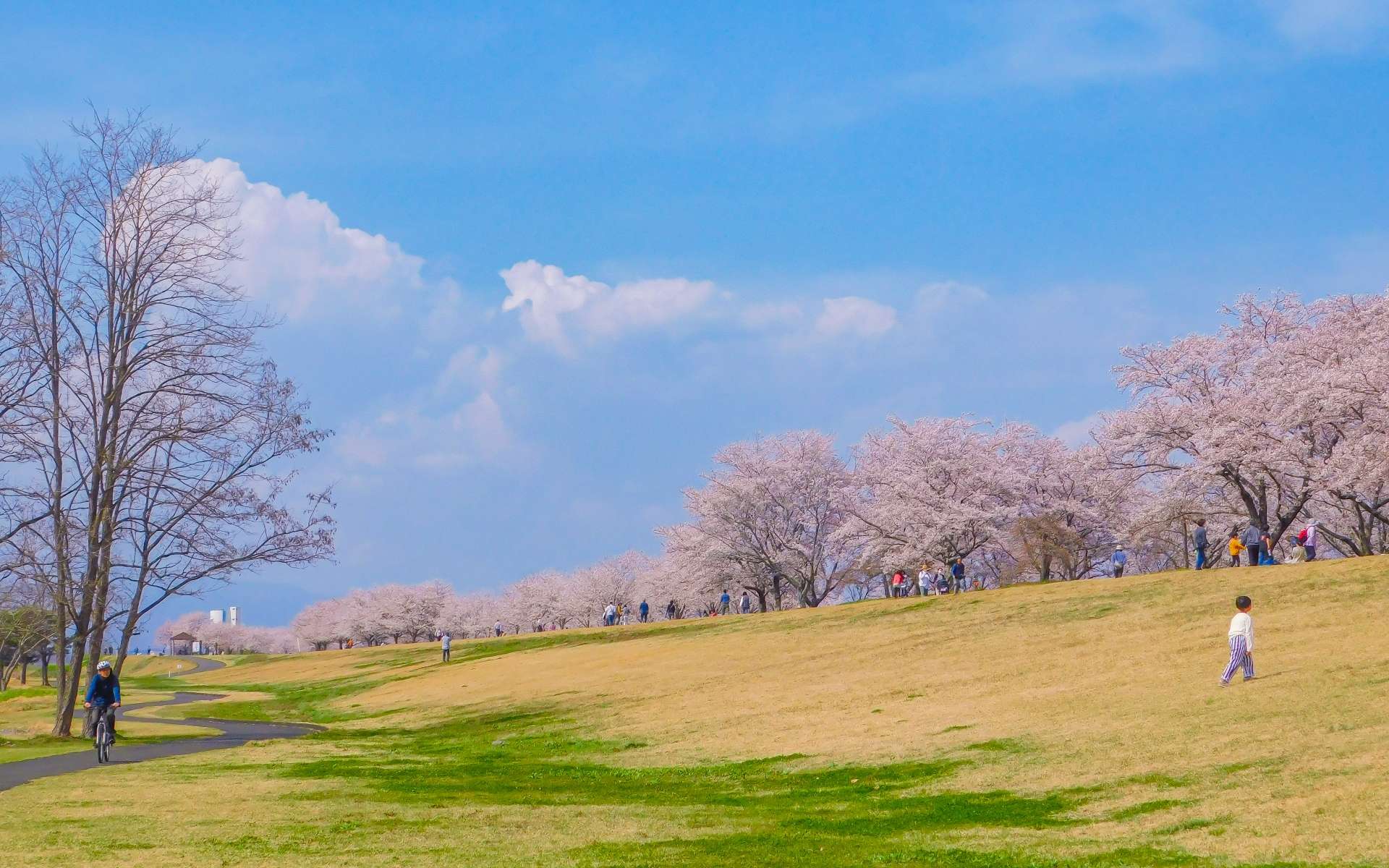さくら市