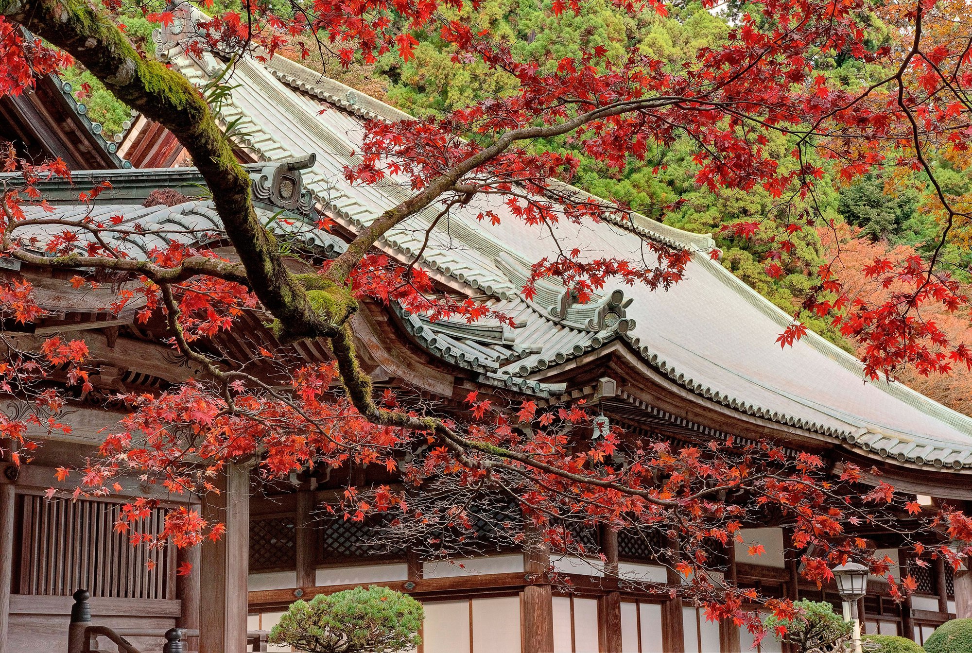 大雄山最乗寺