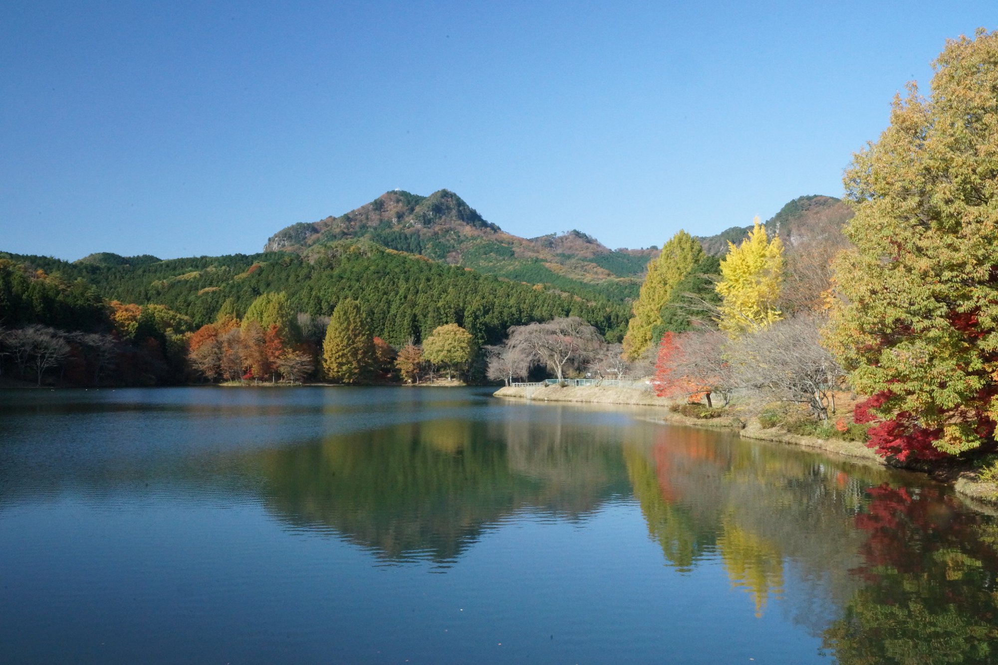 古賀志山