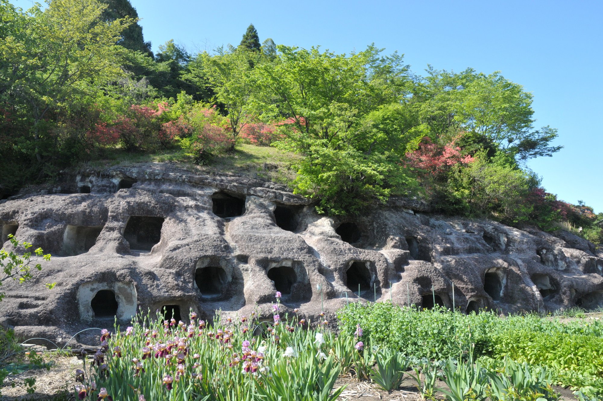 長岡百穴古墳
